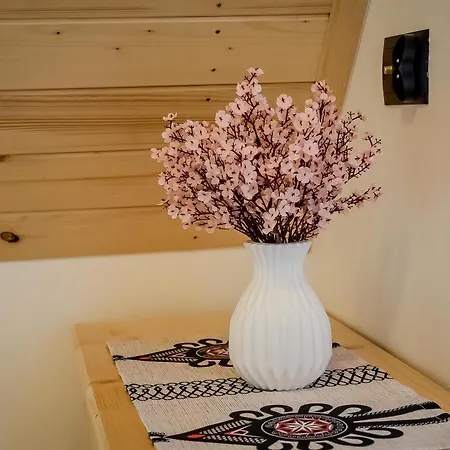 U Jarosza Semesterbostad *